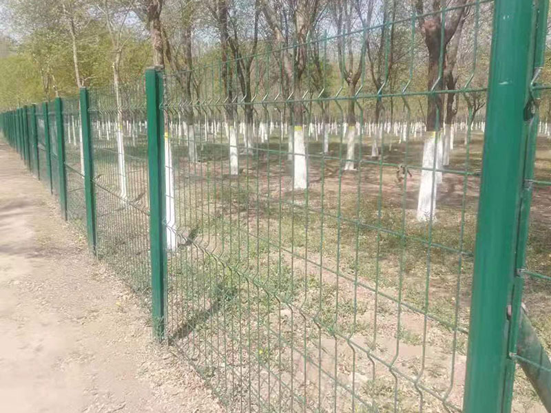 �������o(h��)�ڈDƬ