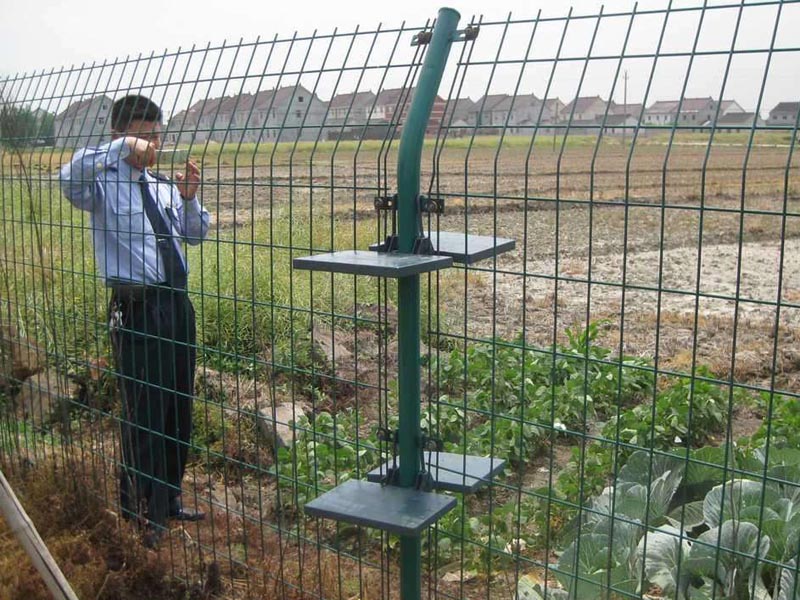 �p߅�z�o�ھW�DƬ